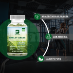 Barley Grass Capsule Factory - OEM Cardiovascular Health Bulk