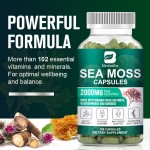 Sea Moss Capsule Factory - OEM Joint Skin Health Private Label