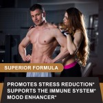 Ashwagandha Capsules Factory - OEM Mood Enhancer Root Extract