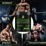 Creatine Capsules Factory - OEM Energy Boost Nutrition Bulk