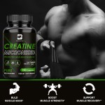 Creatine Capsules Supplier - OEM Lean Muscle Mass Bulk Supply