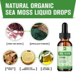 Sea Moss Oil Drops Supplier - OEM Detox Cleanse Custom Formula