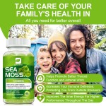 Sea Moss Gummies Factory - OEM Private Label Dietary Supplement
