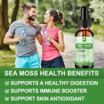 Sea Moss Oil Drops Supplier - OEM Detox Cleanse Custom Formula