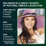 Sea Moss Capsule Manufacturer - OEM Immune Multivitamin Support