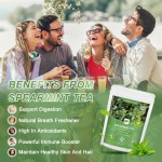 Spearmint Tea Supplier - OEM Organic Herbal Health Custom
