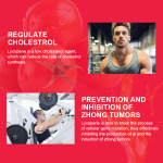 Lycopene Soft Capsule Factory - OEM Antioxidant Tomato Extract Bulk