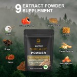 Shilajit Coffee Powder Factory - OEM Himalayan Mushroom Blend