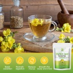 Mullein Leaf Tea Supplier - OEM Digestive Lung Cleanse Bulk