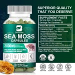 Irish Sea Moss Capsule Manufacturer - OEM Organic Herbal Supplement