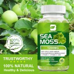 Sea Moss Gummies Factory - OEM Private Label Dietary Supplement