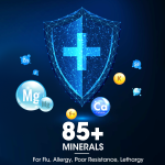 Shilajit Resin Factory - OEM Brain Boost Himalayan Extract