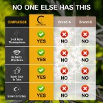 Black Seed Oil Gummies Factory - OEM Organic Sweets Private Label