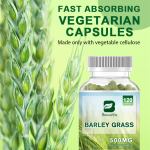Barley Grass Capsule Supplier - OEM Organic Food Supplement Custom