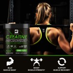 Creatine Monohydrate Powder Supplier - OEM Pure Energy Muscle Support
