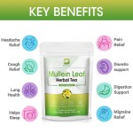 Mullein Leaf Tea Supplier - OEM Digestive Lung Cleanse Bulk