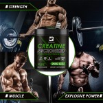 Creatine Monohydrate Powder Supplier - OEM Pure Energy Muscle Support