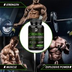 Creatine Capsules Factory - OEM Muscle Growth Custom Formula