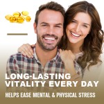 Ashwagandha Softgel Factory - OEM Herbal Supplement Private Label