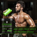 Creatine Monohydrate Powder Supplier - OEM Pure Energy Muscle Support