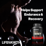 LIFEWORTH Wholesale Zero Carb Gym Immune Support Isolate Muscle Protein Powder Whey