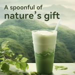 LIFEWORTH Customized Ceremonial Natural Organic Japanese Matcha Tea Extract Slimming