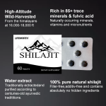 LIFEWORTH GMP in Stock Rich Trace Minerals Immunity System 100% Pure Shilajit Tablets