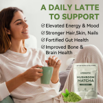 LIFEWORTH Supply High Quality Green Tea Matcha Powder Certified Organic Wholesale