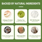 LIFEWORTH Supply High Quality Green Tea Matcha Powder Certified Organic Wholesale
