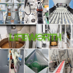 LIFEWORTH OEM Brand Vitamins a Oil Softgel Capsules Supplements Skin Hair Health