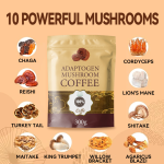LIFEWORTH Chaga Extract Organic Instant Mushroom Coffee Powder Bag Blend Wholesale