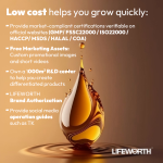 LIFEWORTH High Potency Energy Booster Immune Support Pure Himalayan Shilajit Resin Natural