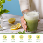 LIFEWORTH Wholesale Supply High Quality Organic Pure Matcha Green Tea Powder