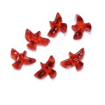 Men's Vitamin Gummies Supplier - Popular Fruit Vitamin Support Brand Customization