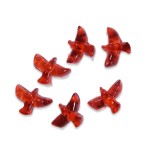 Wellness Candies Supplier - Exclusive Luxury Cordyceps Blend Pure Essence