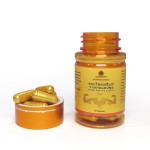 Herbal Supplement Capsules Factory - OEM Private Label Horny Goat Weed Extract