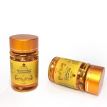 Men's Vitamin Capsules Manufacturer - 2025 Best Selling Horny Goat Weed Sports