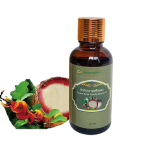 Essential Oil Manufacturer - Thailand Butea Superba Personal Massage 30ML