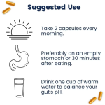 Probiotics Capsules Manufacturer - Best Selling Women Menopause 60 Billion CFU