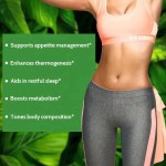 Slimming Capsules Manufacturer - 2025 Bodybuilding Dietary Fat Loss Detox