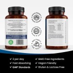 Turmeric Tablets Factory - Organic Curcumin Ginger Extract Antioxidant Neural