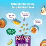 Shilajit Gummies Factory - OEM Health Product Energy Support Pure Himalayan