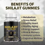 Probiotic Gummies Supplier - Dietary Supplement Immune Digestive Enzyme