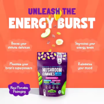 Shilajit Gummies Factory - OEM Health Product Energy Support Pure Himalayan