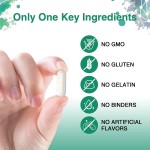 Probiotic Capsules Supplier - Freeze-dried Lactobacillus Reuteri Digestion