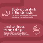 Creatine Gummies Manufacturer - OEM/ODM Sports Nutrition Rich in Monohydrate