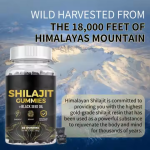 Probiotic Gummies Supplier - Dietary Supplement Immune Digestive Enzyme