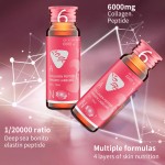 Collagen Powder Factory - Vital Proteins Hydrolyzed Fish Marine Powder