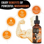 Mushroom Drink Factory - Liposomal Complex Lions Mane Reishi Extract