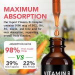 Vitamin B Drops Manufacturer - Hot Selling Organic B Complex Liquid Health